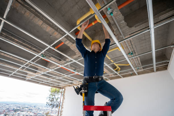 Best Leak Detection Services  in Niwot, CO
